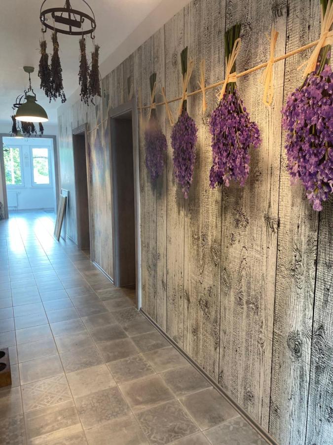 La Maison Pritzwalk - Bett & Bike Ngoại thất bức ảnh